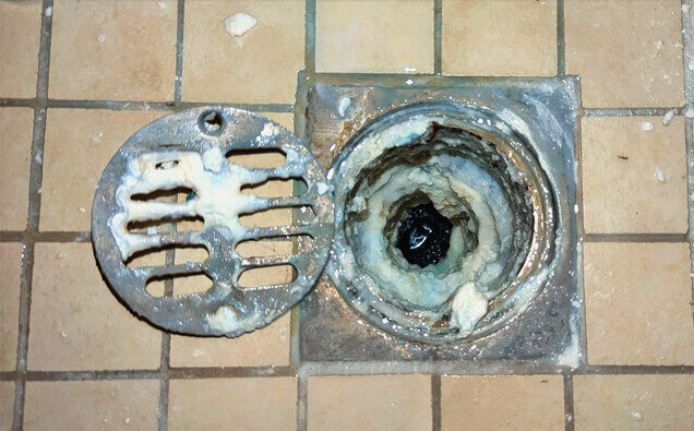 https://blockeddrainsarmadale.com.au/uploads/2025/07/blocked-shower-drains-33151.jpg