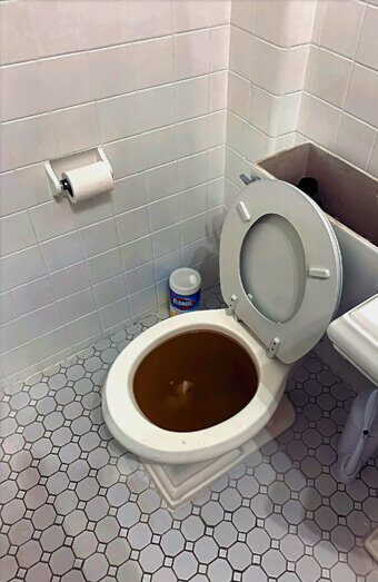 https://blockeddrainsarmadale.com.au/uploads/2025/07/blocked-toilet-42230.jpg