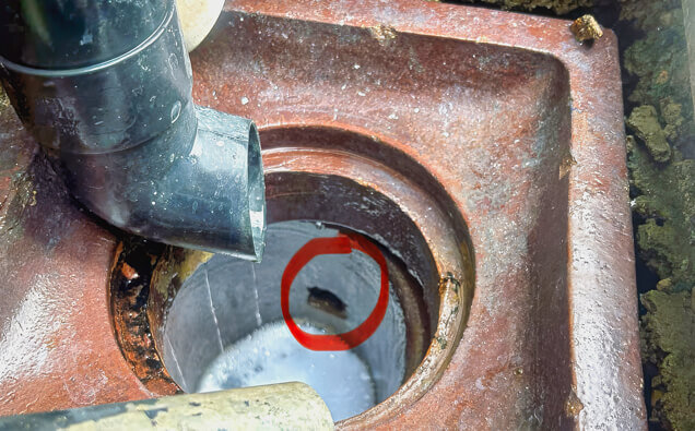https://blockeddrainsarmadale.com.au/uploads/2025/07/hero-blocked-sewers-17074.jpg